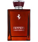 parfém Amber Essence (2016)