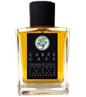 Carpe Cafe Gallagher Fragrances