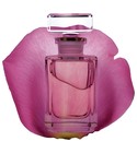Rose Attar Aveda