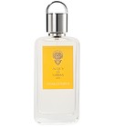 Osmanthus Acqua di Stresa