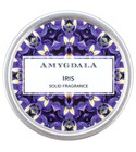 Iris Amygdala