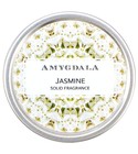Jasmine Amygdala