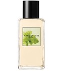 parfém Marc Jacobs Splash Fig