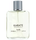 Karate Dzintars