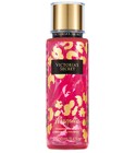 Magnetic Victoria's Secret
