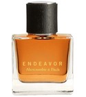 parfém Endeavor