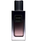 Velours Yves Saint Laurent