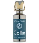 parfém Collie – Pure Essence