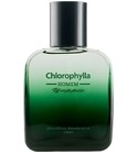 Chlorophylla Homem Chlorophylla
