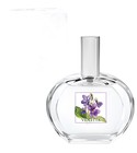 parfém Violetta