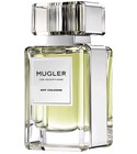 Hot Cologne Mugler