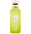 parfém Rayon Vert