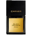 Black Calamus Carner Barcelona
