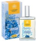 parfém Agapanthus