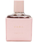 Zara Orchid 2016 Zara