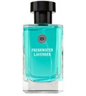 Freshwater Lavender C.O.Bigelow