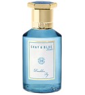 Blood Oranges Shay & Blue London perfume - a