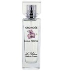Orchidée Le Blanc