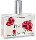 Pivoine Fragonard