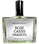 Rose Cassis Paradis 1000 Flowers