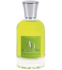 parfém Absolument Absinthe