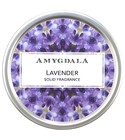Lavender Amygdala