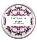 Peony Amygdala