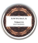 Tobacco Amygdala