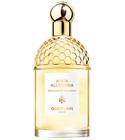 parfém Aqua Allegoria Bergamote Calabria