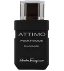 parfém Attimo Black Musk Pour Homme