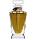 Roi Sans Equipage Henry Jacques