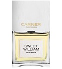 parfém Sweet William