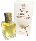 Rose Blanche Sharini Parfums Naturels
