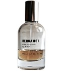 Bergamot Allen Shaw