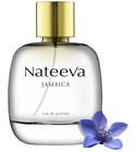 Jamaica Nateeva