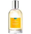 Immortel Cédrat Comptoir Sud Pacifique