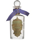 Lavandula Penhaligon's