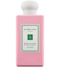 parfém Green Almond & Redcurrant