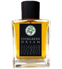 Evergreen Dream Gallagher Fragrances