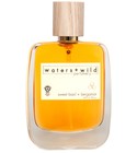 Sweet Basil + Bergamot Waters + Wild Perfumery