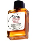 Bed of Roses  Phoenix Botanicals