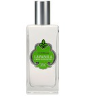 parfém Vanilla Blossom
