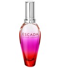Ocean Lounge Escada