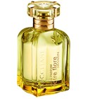 Notre Flore Jasmin L'Occitane en Provence