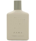Y Collection Zara