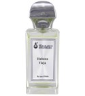 Habana Vieja The Fragrance Engineers