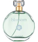 Blossom Elode