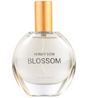 Honeydew Blossom C&A