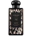 parfém Tuberose Angelica Rich Extrait