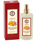parfém Amber
